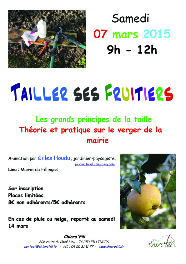 Affiche 2015 taille B